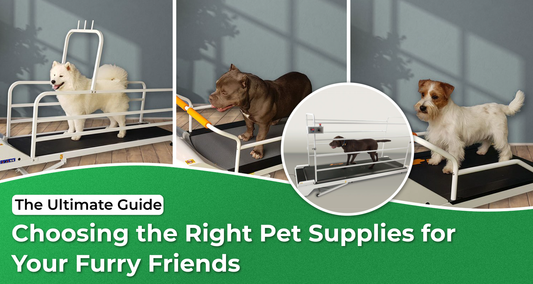 The Ultimate Guide to Choosing the Right Pet Supplies for Your Furry Friends